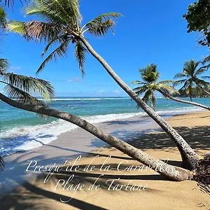 https://les-bungalows-de-la-plage.comcaribbean.com